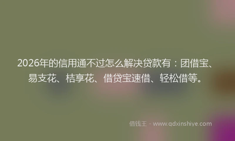 2026年的信用通不过怎么解决贷款有：团借宝、易支花、桔享花、借贷宝速借、轻松借等。