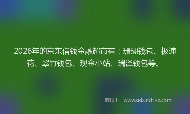 2026年的京东借钱金融超市有：珊瑚钱包、极速花、翠竹钱包、现金小站、瑞泽钱包等。
