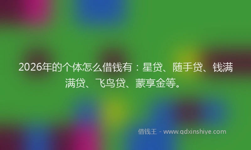 2026年的个体怎么借钱有：星贷、随手贷、钱满满贷、飞鸟贷、蒙享金等。