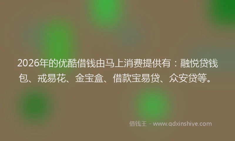 2026年的优酷借钱由马上消费提供有：融悦贷钱包、戒易花、金宝盒、借款宝易贷、众安贷等。
