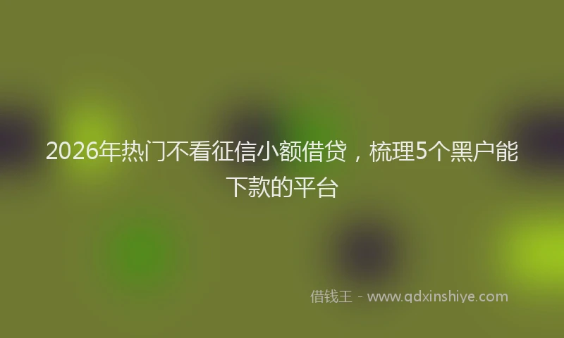 2026年热门不看征信小额借贷，梳理5个黑户能下款的平台