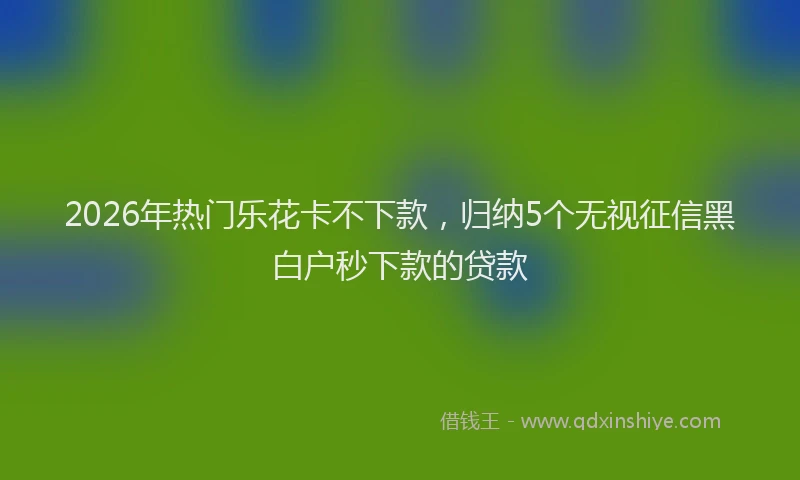 2026年热门乐花卡不下款，归纳5个无视征信黑白户秒下款的贷款