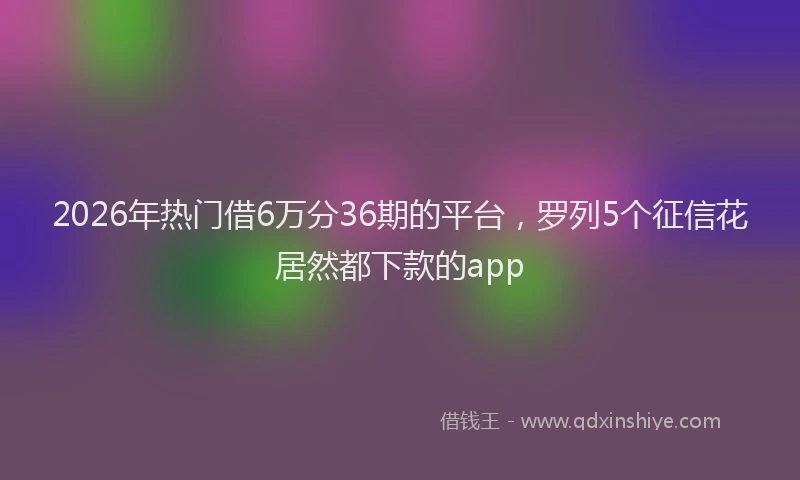 2026年热门借6万分36期的平台，罗列5个征信花居然都下款的app
