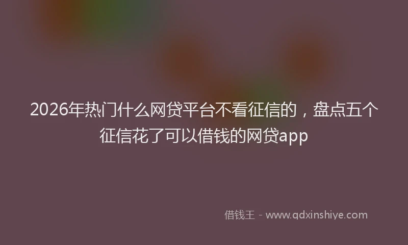 2026年热门什么网贷平台不看征信的，盘点五个征信花了可以借钱的网贷app