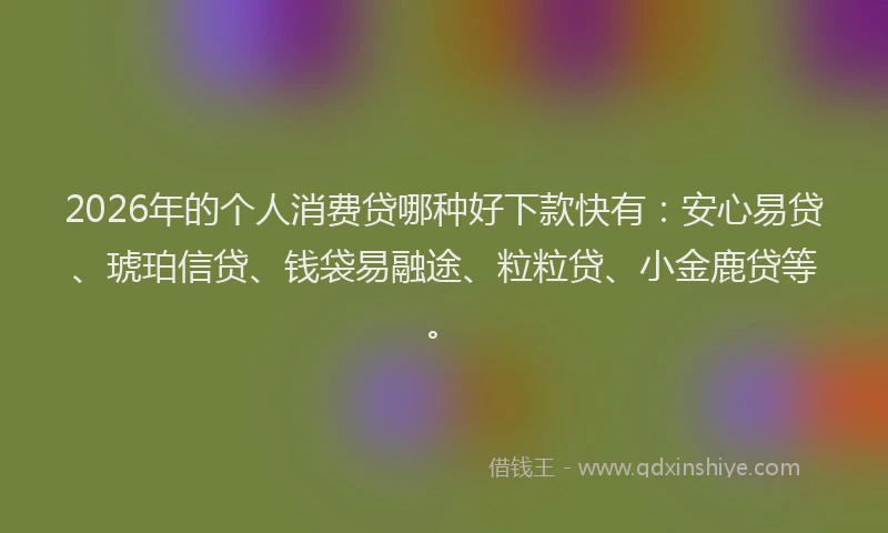 2026年的个人消费贷哪种好下款快有：安心易贷、琥珀信贷、钱袋易融途、粒粒贷、小金鹿贷等。