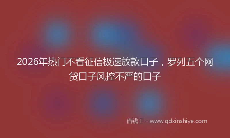 2026年热门不看征信极速放款口子，罗列五个网贷口子风控不严的口子