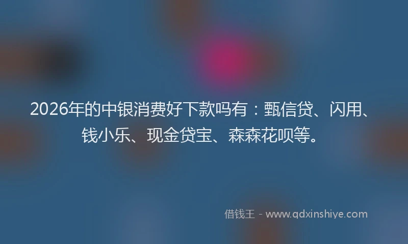 2026年的中银消费好下款吗有：甄信贷、闪用、钱小乐、现金贷宝、森森花呗等。