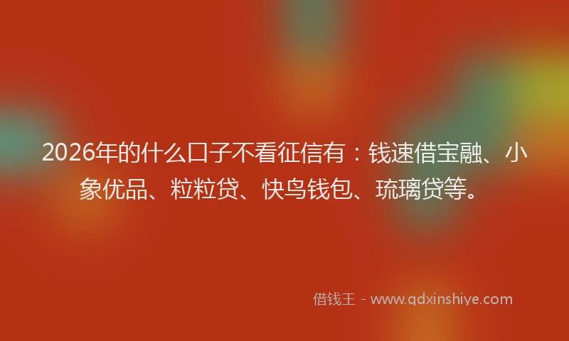 2026年的什么口子不看征信有：钱速借宝融、小象优品、粒粒贷、快鸟钱包、琉璃贷等。