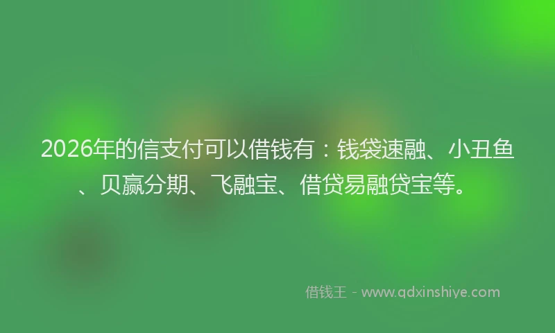 2026年的信支付可以借钱有：钱袋速融、小丑鱼、贝赢分期、飞融宝、借贷易融贷宝等。