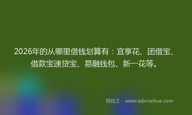 2026年的从哪里借钱划算有：宜享花、团借宝、借款宝速贷宝、易融钱包、新一花等。