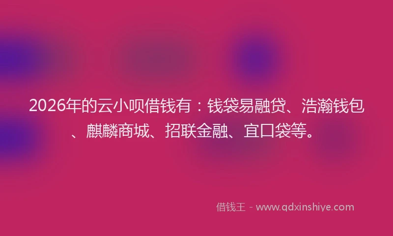 2026年的云小呗借钱有：钱袋易融贷、浩瀚钱包、麒麟商城、招联金融、宜口袋等。