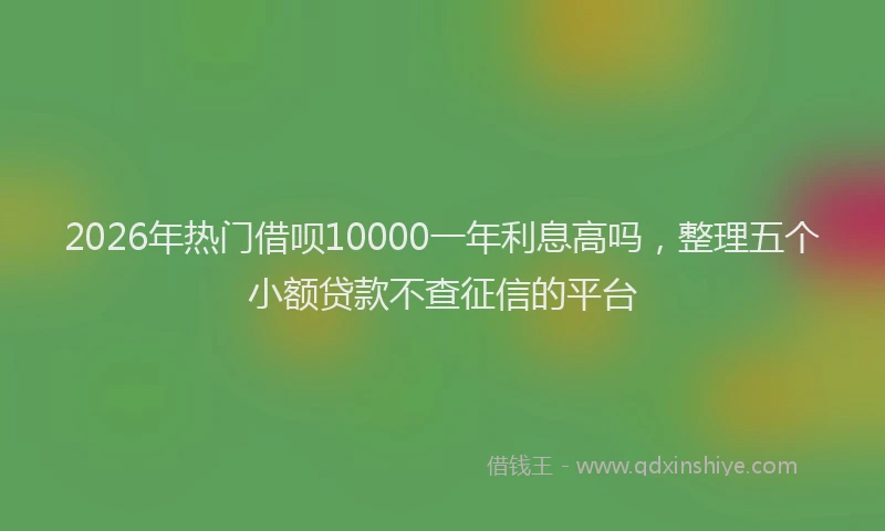 2026年热门借呗10000一年利息高吗，整理五个小额贷款不查征信的平台
