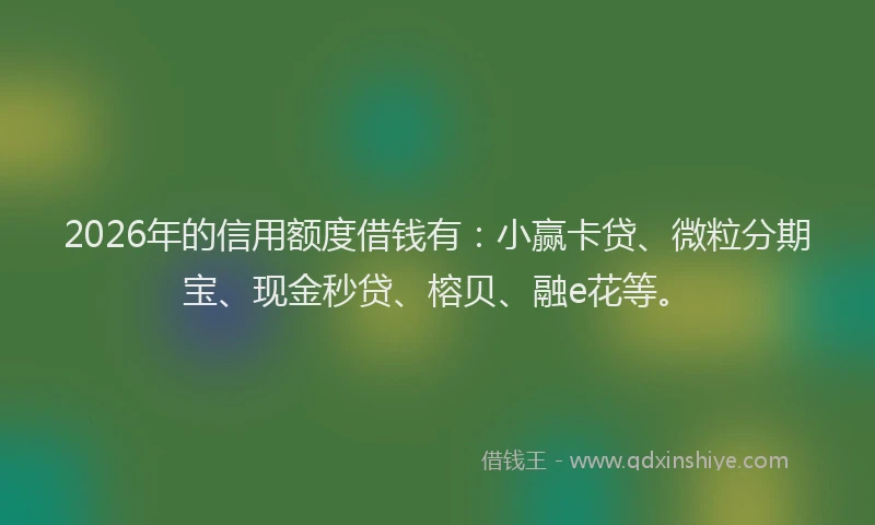2026年的信用额度借钱有：小赢卡贷、微粒分期宝、现金秒贷、榕贝、融e花等。