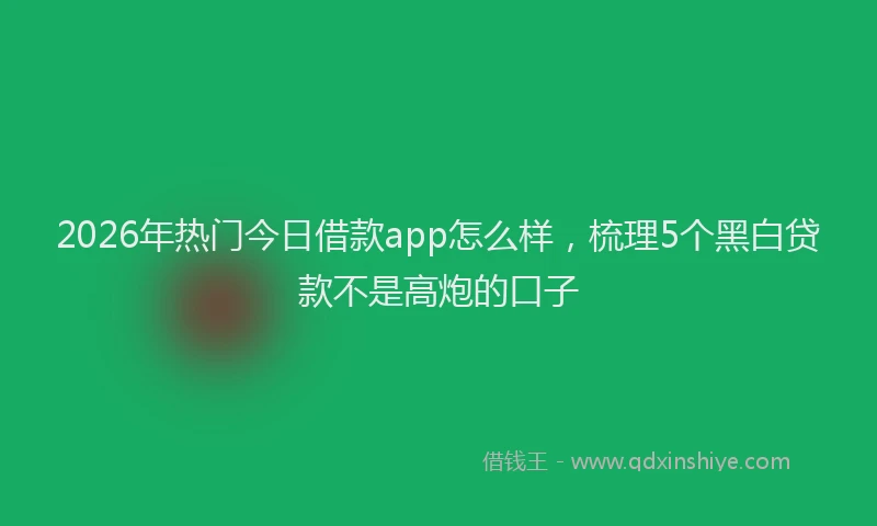 2026年热门今日借款app怎么样，梳理5个黑白贷款不是高炮的口子