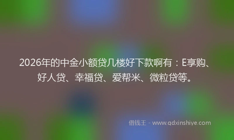 2026年的中金小额贷几楼好下款啊有：E享购、好人贷、幸福贷、爱帮米、微粒贷等。