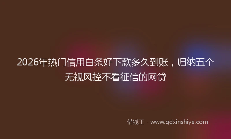 2026年热门信用白条好下款多久到账，归纳五个无视风控不看征信的网贷