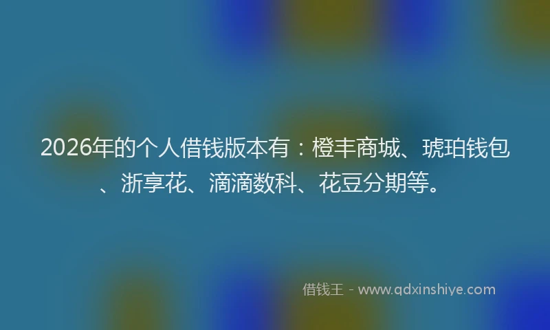 2026年的个人借钱版本有：橙丰商城、琥珀钱包、浙享花、滴滴数科、花豆分期等。
