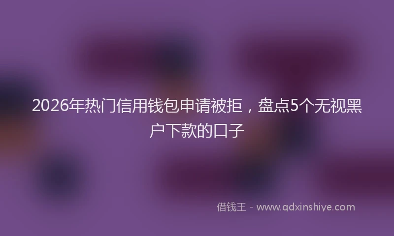 2026年热门信用钱包申请被拒，盘点5个无视黑户下款的口子