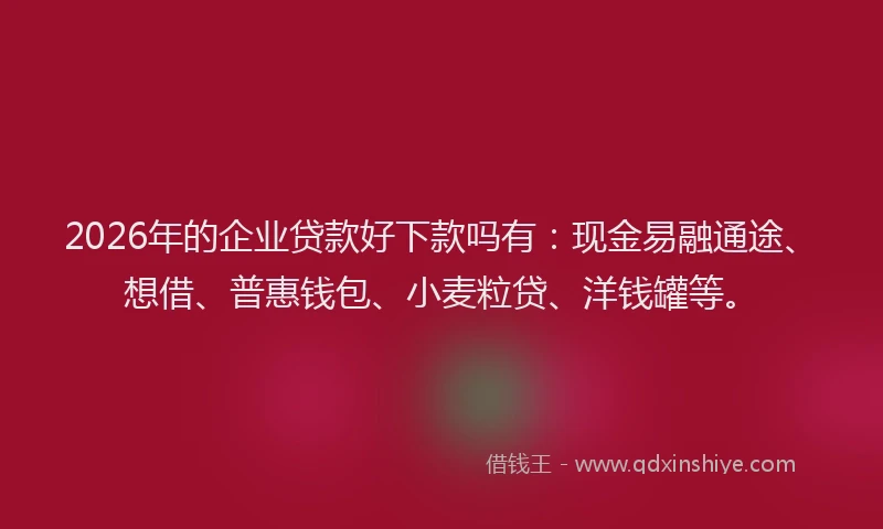 2026年的企业贷款好下款吗有：现金易融通途、想借、普惠钱包、小麦粒贷、洋钱罐等。