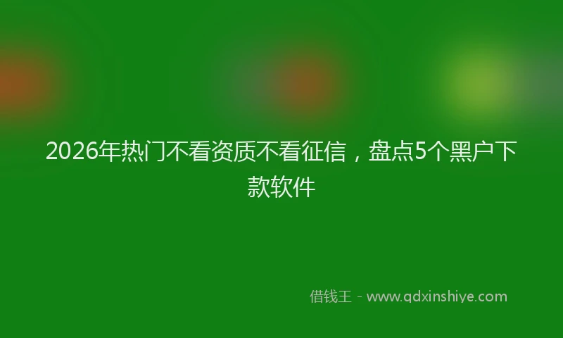 2026年热门不看资质不看征信，盘点5个黑户下款软件