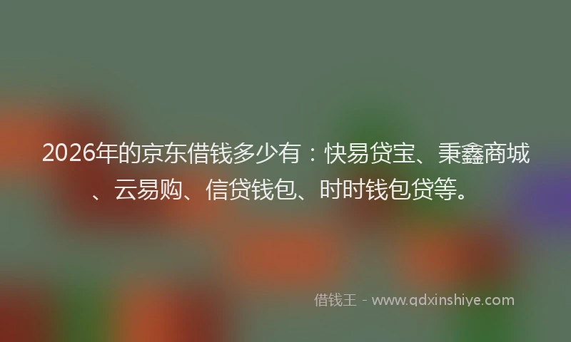 2026年的京东借钱多少有：快易贷宝、秉鑫商城、云易购、信贷钱包、时时钱包贷等。