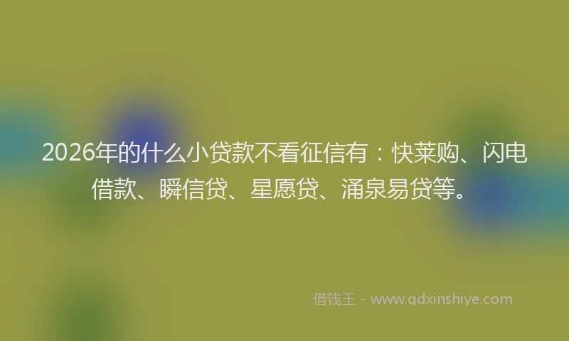 2026年的什么小贷款不看征信有：快莱购、闪电借款、瞬信贷、星愿贷、涌泉易贷等。