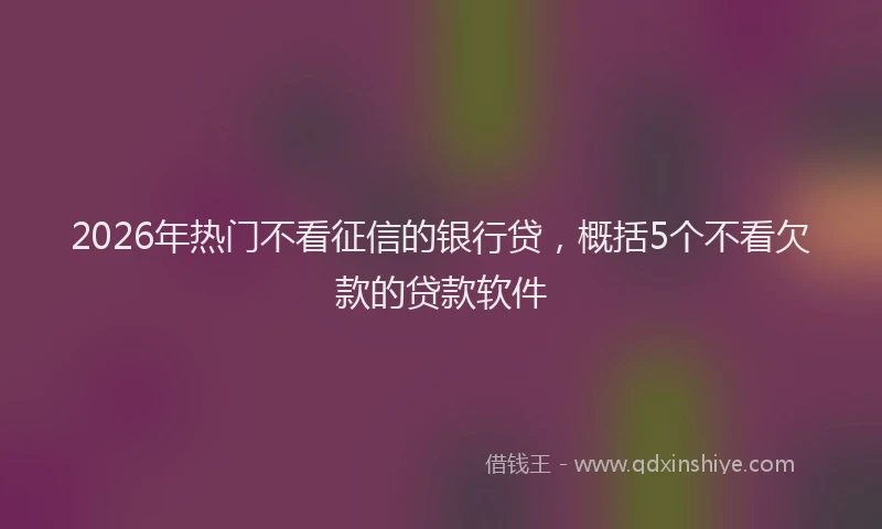 2026年热门不看征信的银行贷，概括5个不看欠款的贷款软件