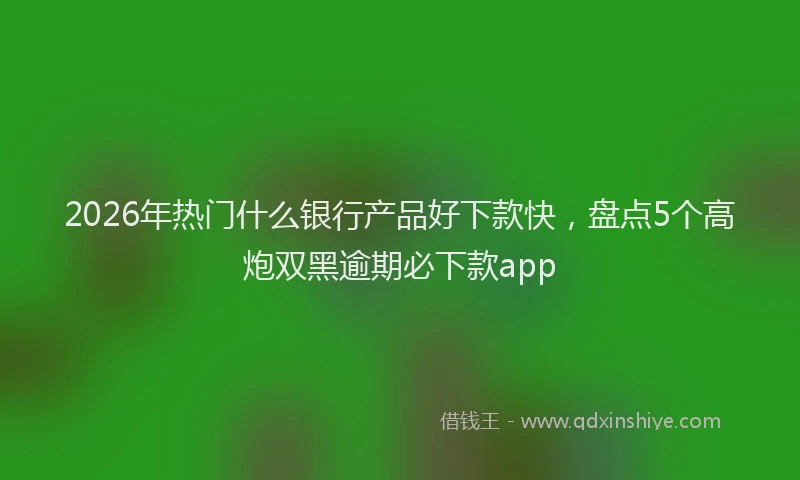2026年热门什么银行产品好下款快，盘点5个高炮双黑逾期必下款app