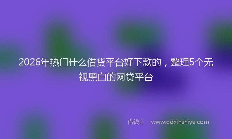 2026年热门什么借货平台好下款的，整理5个无视黑白的网贷平台