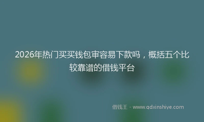 2026年热门买买钱包审容易下款吗，概括五个比较靠谱的借钱平台