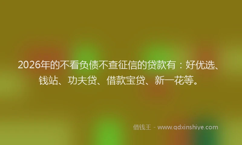 2026年的不看负债不查征信的贷款有：好优选、钱站、功夫贷、借款宝贷、新一花等。