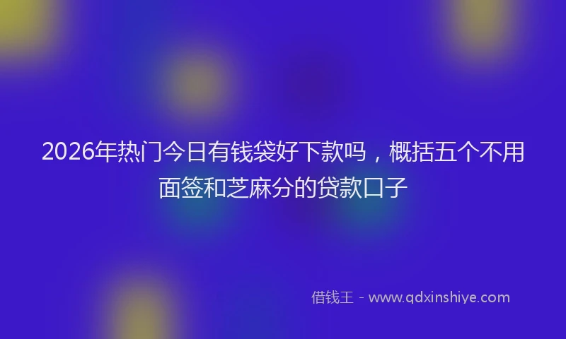 2026年热门今日有钱袋好下款吗，概括五个不用面签和芝麻分的贷款口子