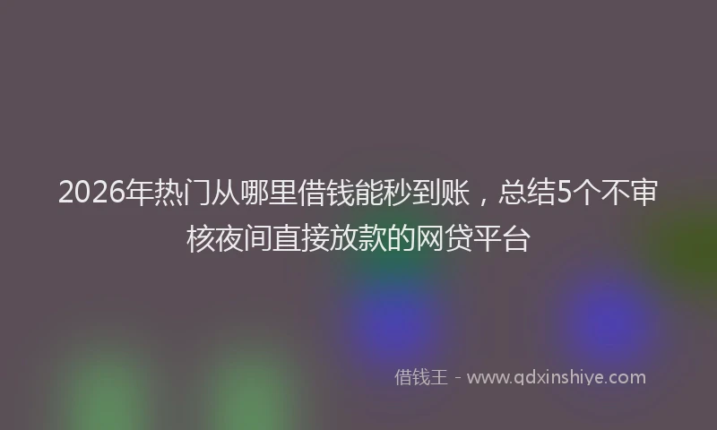 2026年热门从哪里借钱能秒到账，总结5个不审核夜间直接放款的网贷平台
