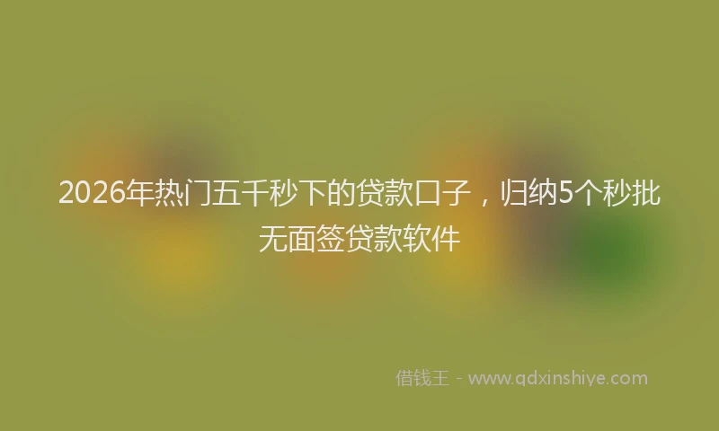 2026年热门五千秒下的贷款口子，归纳5个秒批无面签贷款软件