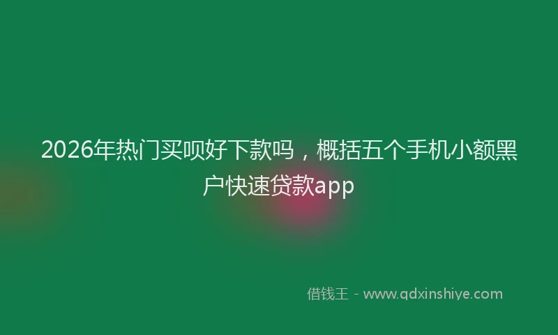 2026年热门买呗好下款吗，概括五个手机小额黑户快速贷款app