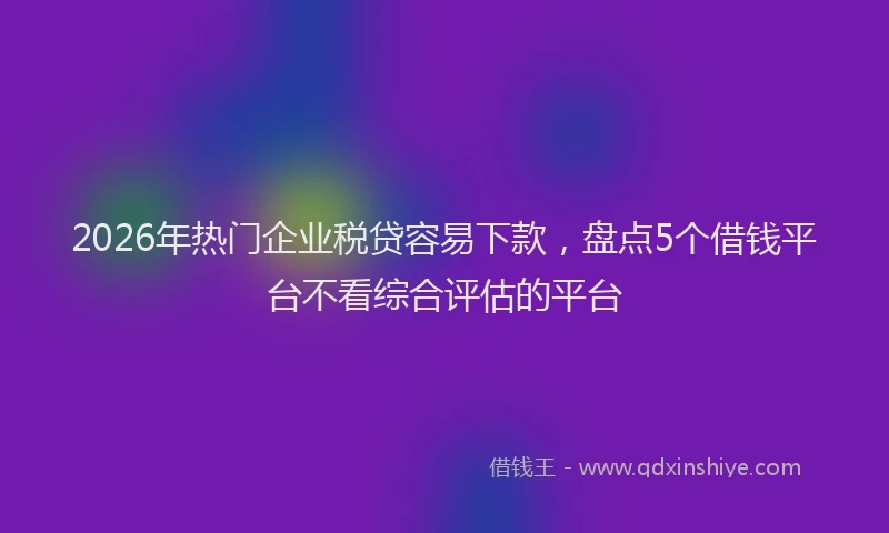 2026年热门企业税贷容易下款，盘点5个借钱平台不看综合评估的平台