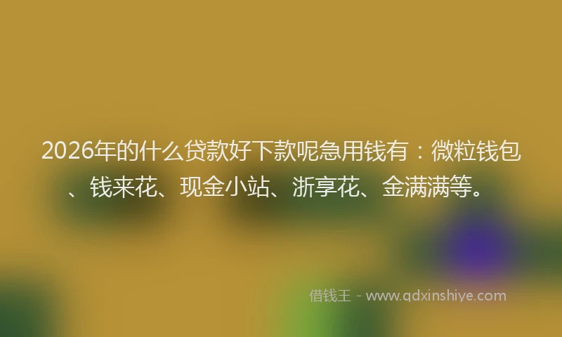 2026年的什么贷款好下款呢急用钱有：微粒钱包、钱来花、现金小站、浙享花、金满满等。