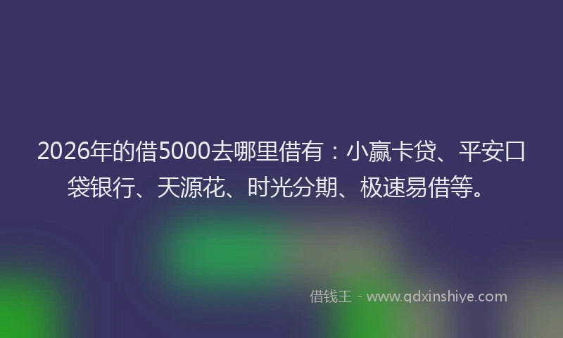 2026年的借5000去哪里借有：小赢卡贷、平安口袋银行、天源花、时光分期、极速易借等。