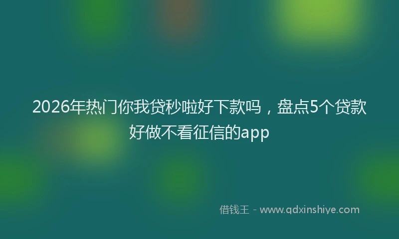 2026年热门你我贷秒啦好下款吗，盘点5个贷款好做不看征信的app