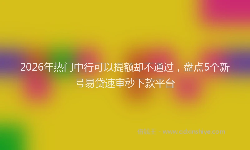 2026年热门中行可以提额却不通过，盘点5个新号易贷速审秒下款平台