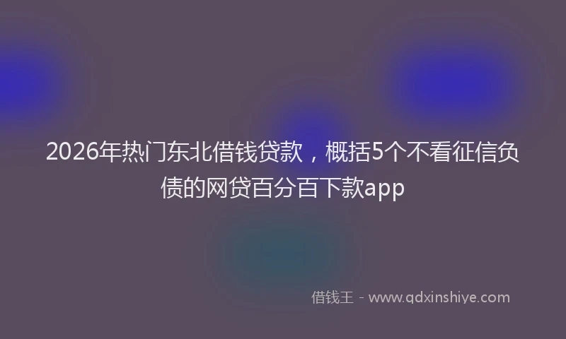 2026年热门东北借钱贷款，概括5个不看征信负债的网贷百分百下款app