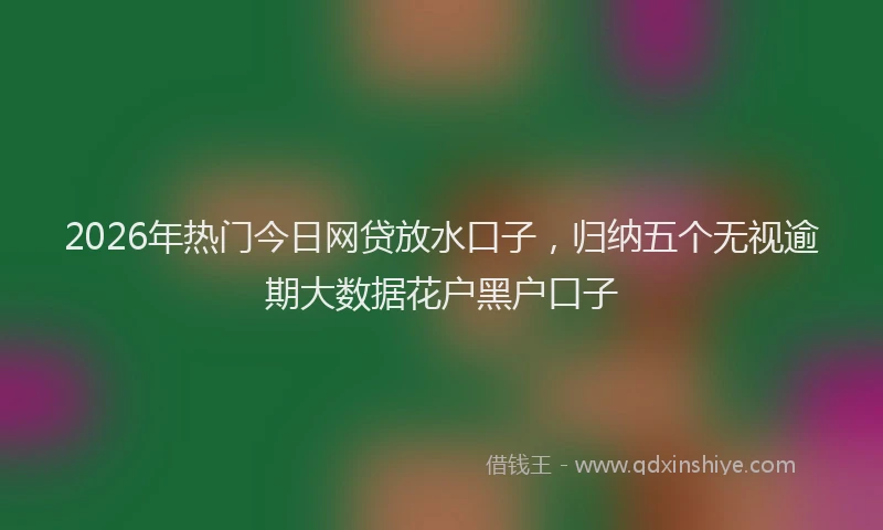 2026年热门今日网贷放水口子，归纳五个无视逾期大数据花户黑户口子