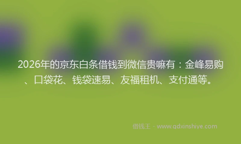 2026年的京东白条借钱到微信贵嘛有：金峰易购、口袋花、钱袋速易、友福租机、支付通等。
