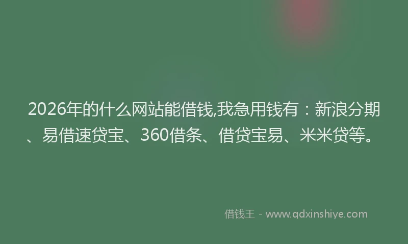 2026年的什么网站能借钱,我急用钱有：新浪分期、易借速贷宝、360借条、借贷宝易、米米贷等。