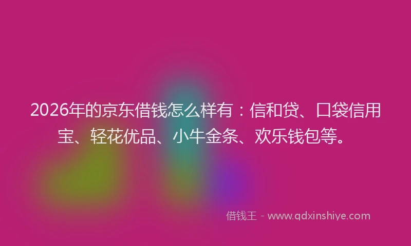 2026年的京东借钱怎么样有：信和贷、口袋信用宝、轻花优品、小牛金条、欢乐钱包等。