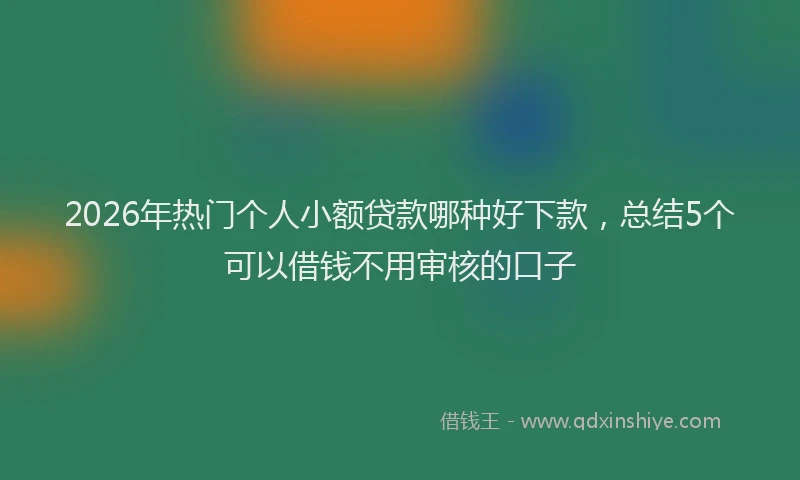 2026年热门个人小额贷款哪种好下款，总结5个可以借钱不用审核的口子