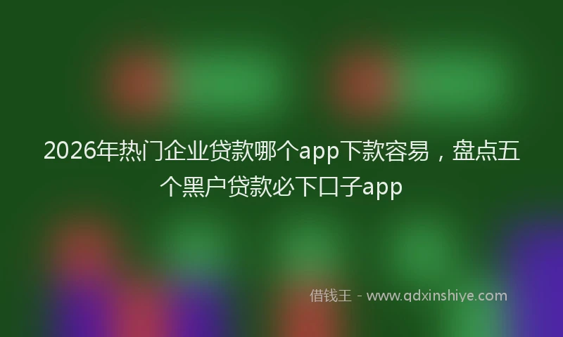 2026年热门企业贷款哪个app下款容易，盘点五个黑户贷款必下口子app