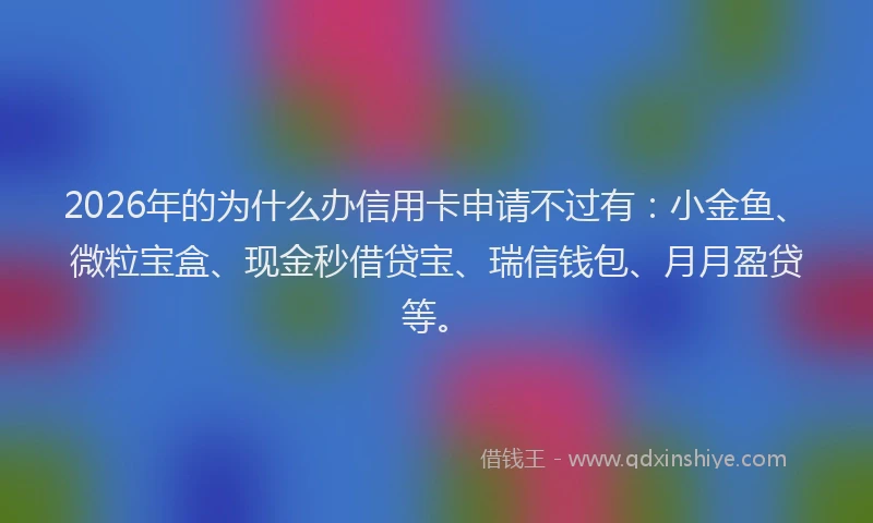 2026年的为什么办信用卡申请不过有：小金鱼、微粒宝盒、现金秒借贷宝、瑞信钱包、月月盈贷等。