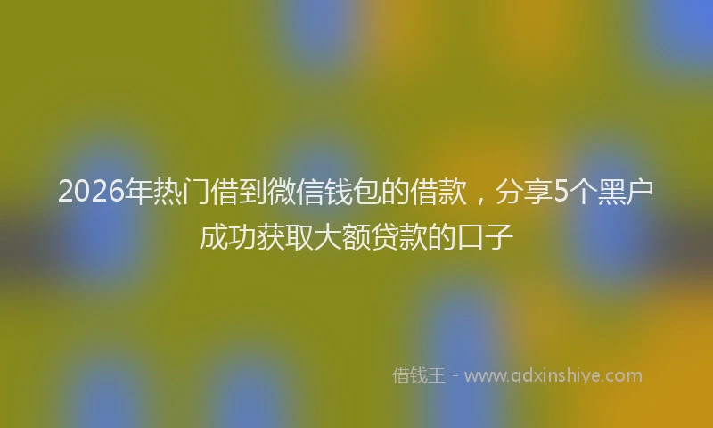 2026年热门借到微信钱包的借款，分享5个黑户成功获取大额贷款的口子