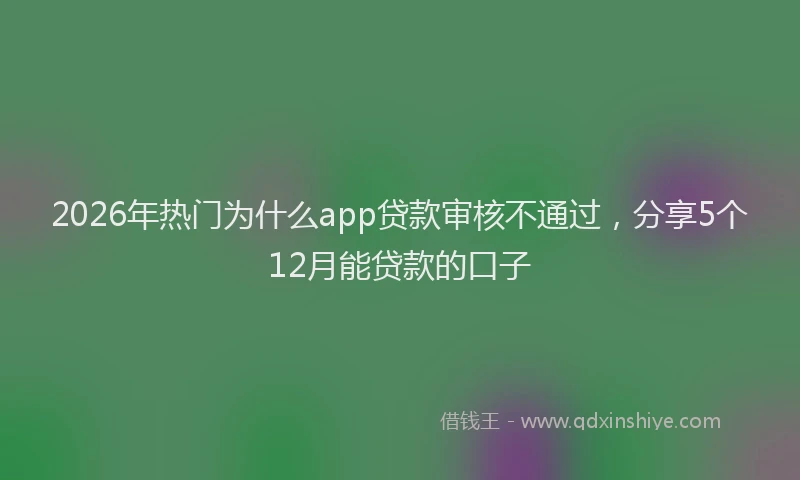 2026年热门为什么app贷款审核不通过，分享5个12月能贷款的口子